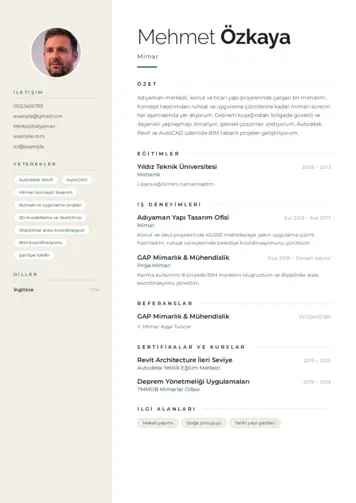  cv indir